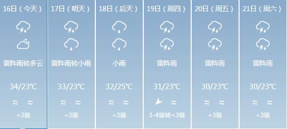 白沙每日工作动态(2019年9月16日)