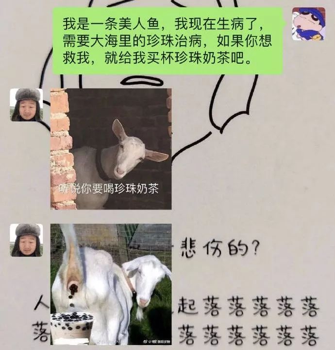 求生欲满分回答 aedcd3d87b7c470096bba529bc345dc0.jpeg