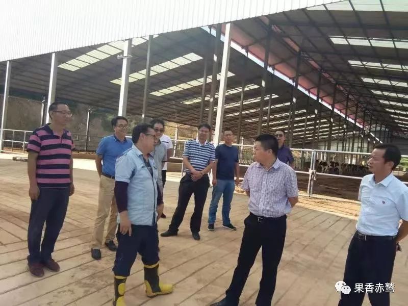 富民县赤鹫镇经济总量_富民县罗免镇照片(3)