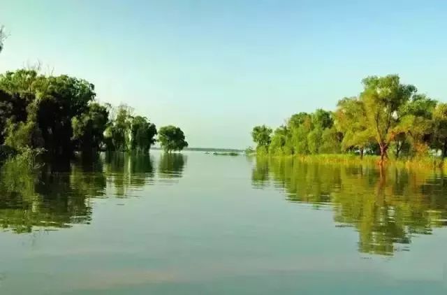 郁郁葱葱,是一座天然的氧吧,被淮安市旅游局列为对外开放的旅游景点