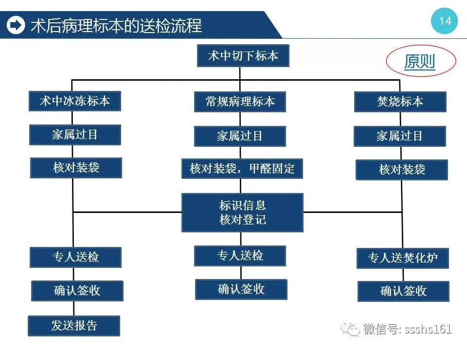 课件分享||再看手术标本全流程管理