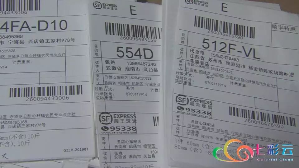 搭上电商快车：鲁甸苹果“红”遍全国
