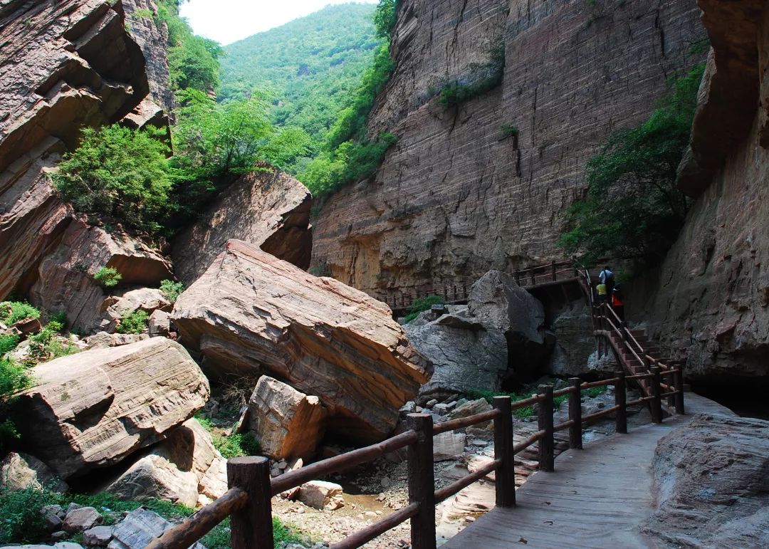 所有人,青要山免门票,钜惠开启,等你来