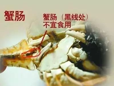 为什么吃完螃蟹嗓子痛