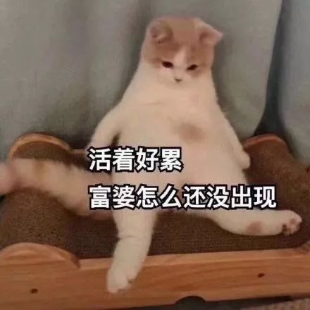 cb32ed4da1c34ac08da82662d3777a9a.jpeg