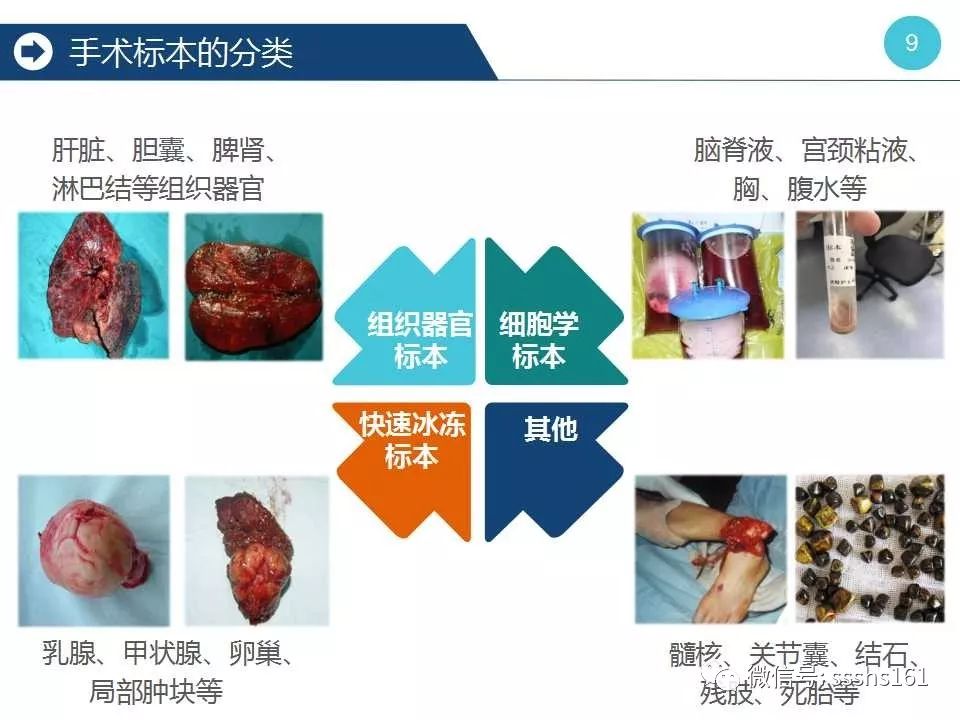 课件分享||再看手术标本全流程管理