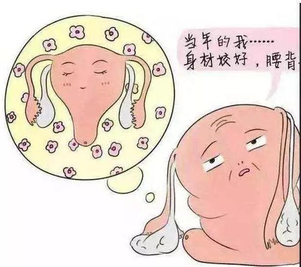 吃什么药能快速减肥 d0ed9708594746f4b130e9a614d96b9e.jpeg