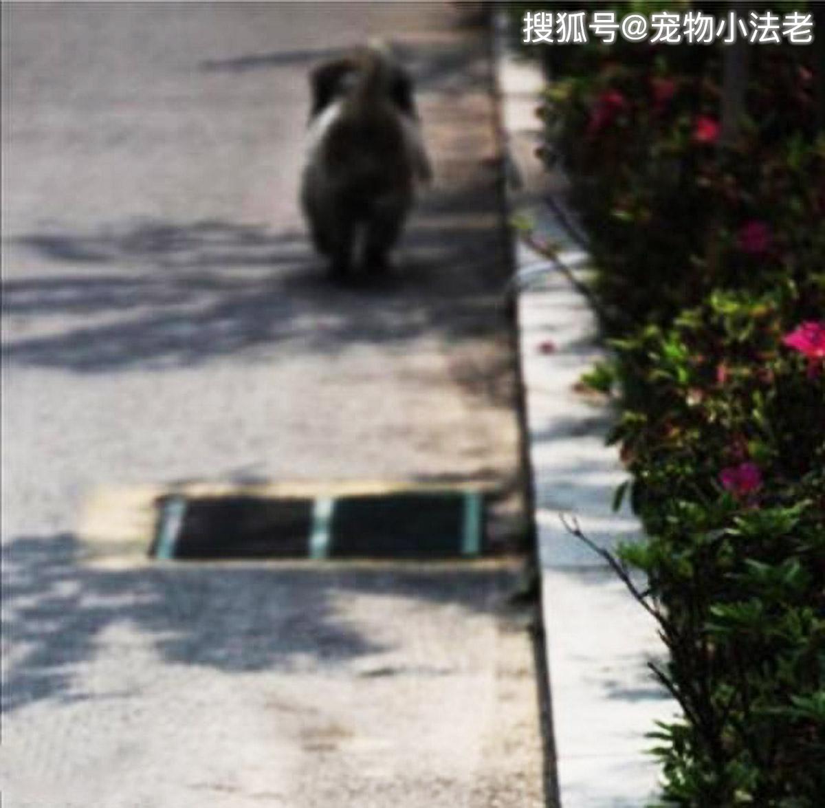 如何让人瞬间失去行动 da8e1cf8bae949f0bd002c1f4c962f1f.jpeg
