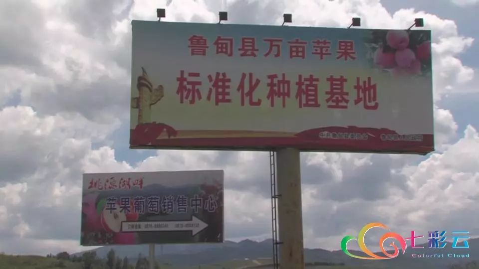 搭上电商快车：鲁甸苹果“红”遍全国