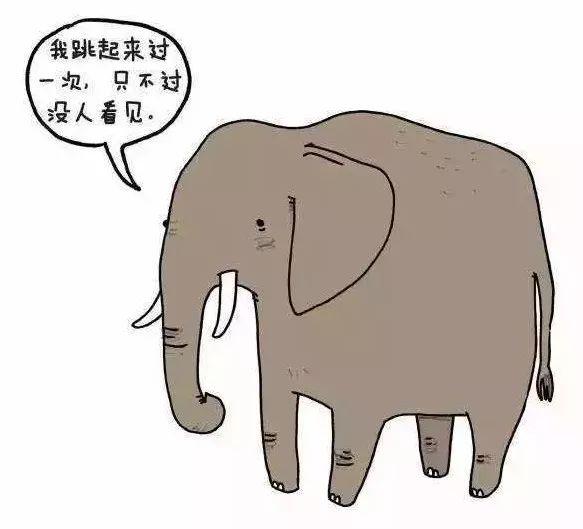 e20d7b3aae2c4236b4e9b0f22c443e81.jpeg