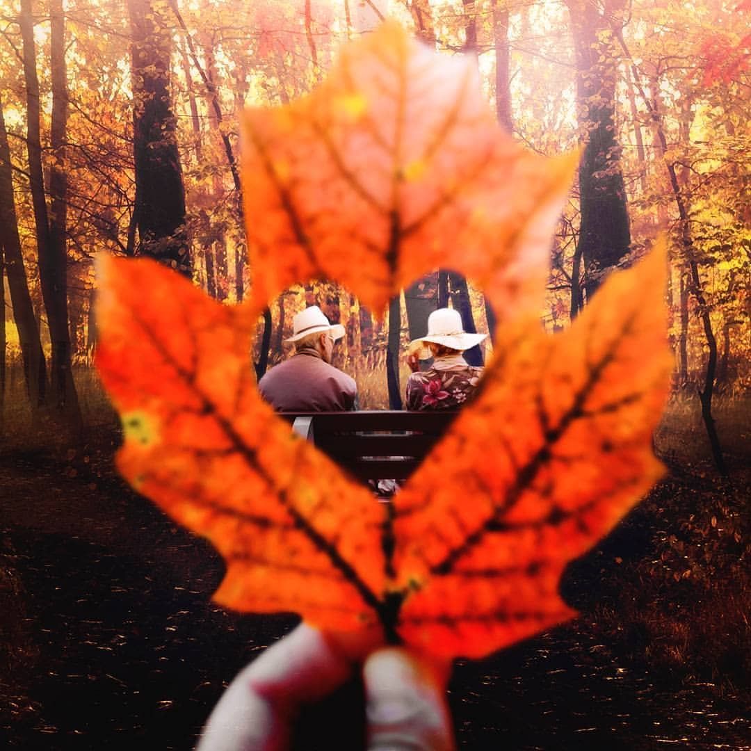 秋天落叶的5大创意拍法，照片让人眼前一亮！__财经头条