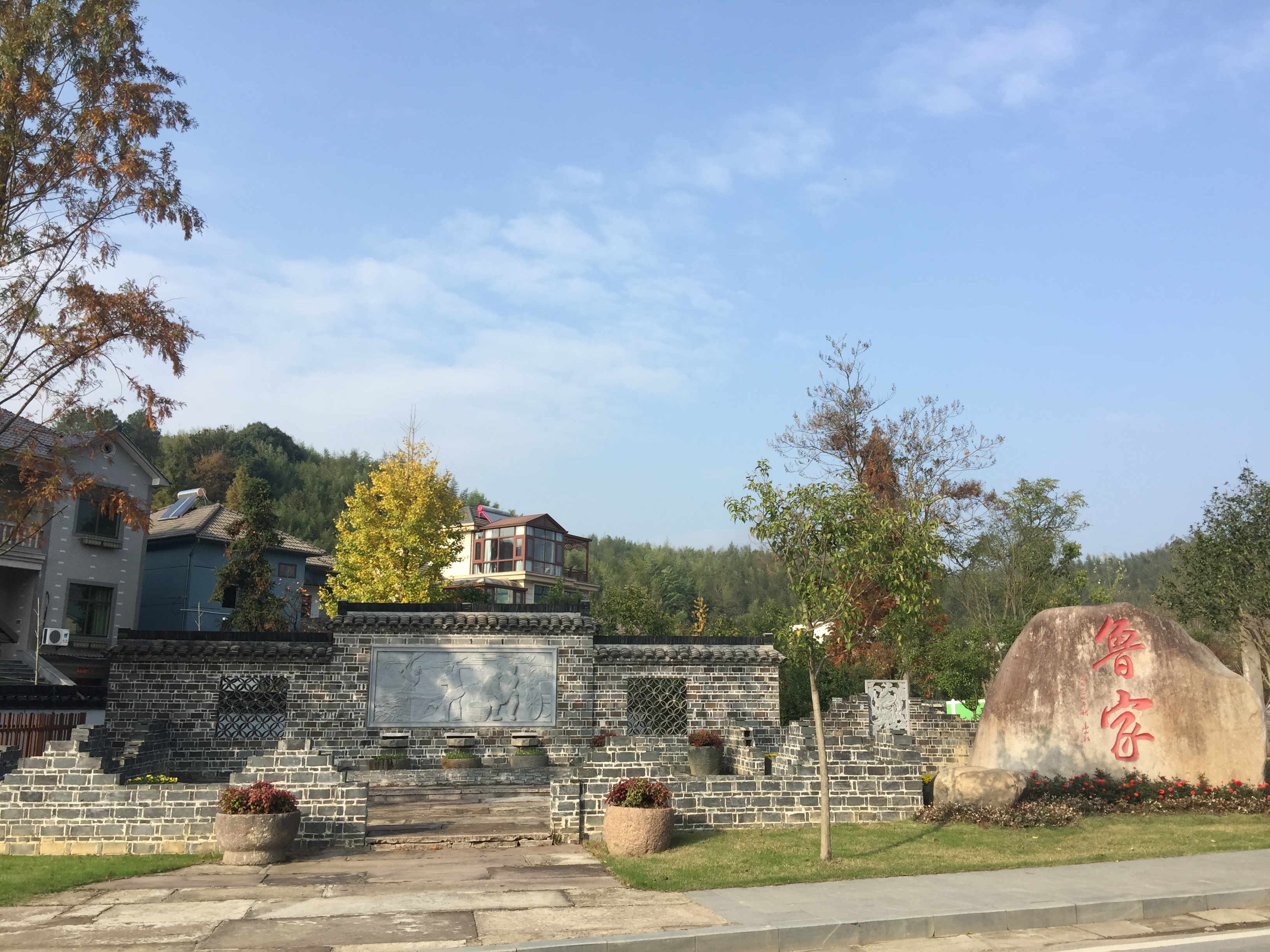 鱼菜高:学习鲁家村,践行两山路