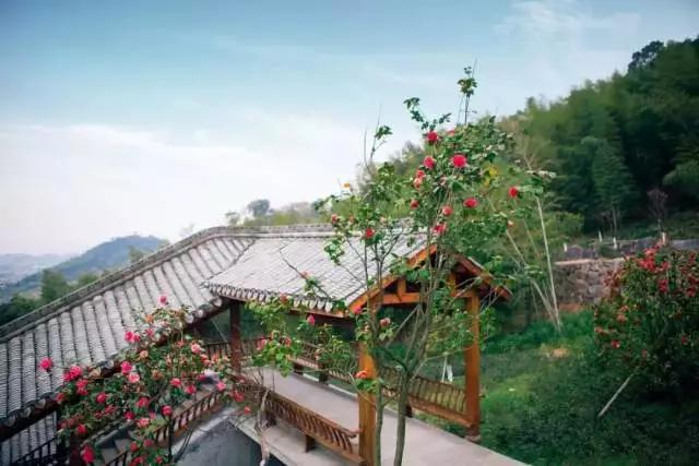 快来住宁波绿野山庄山居景观房送双人绿野山居景区门票