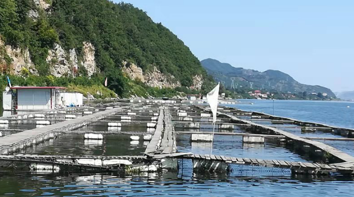 丹东宽甸鲟鱼养殖基地项目考察交流活动圆满举行