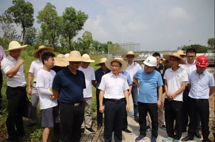 深圳市光明区领导到光明区全面消除黑臭水体治理工程调研指导