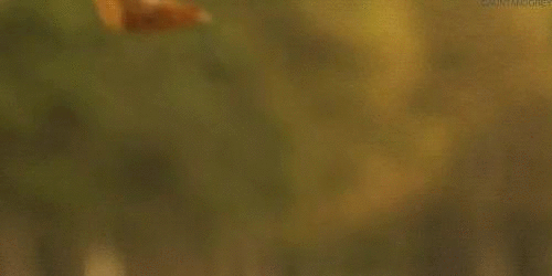 阴雨 霜冻 大风降温!大范围冷空气来袭!这些要注意