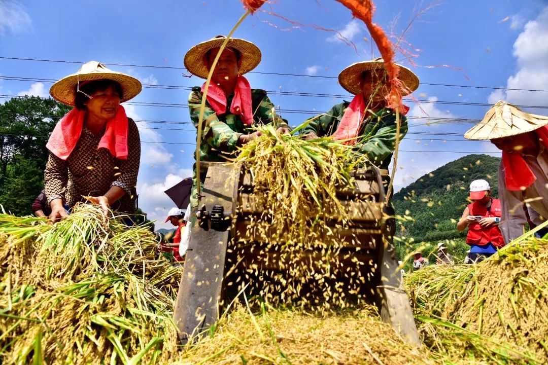 国庆节前,还有一个节!福州准备这样过