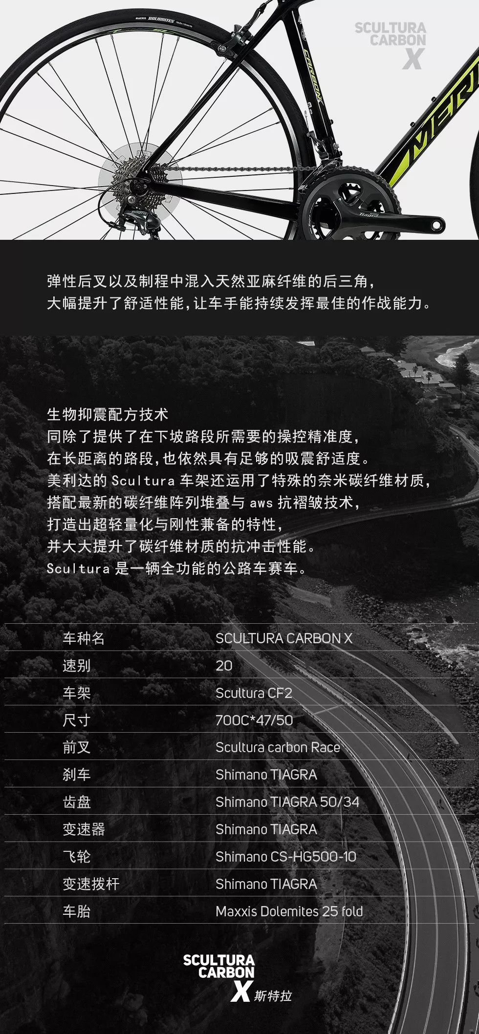 斯特拉carbon x | 极具性价比的碳纤维公路车