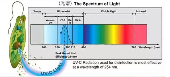 杀菌的原理_紫外线杀菌原理图片