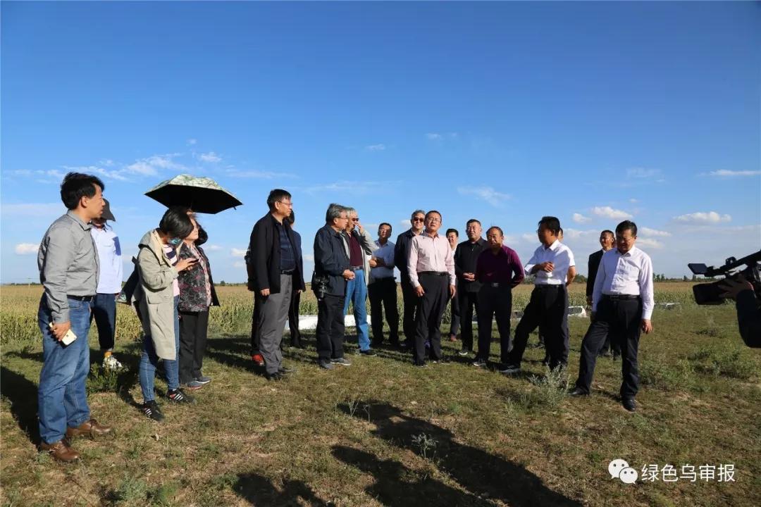 鄂尔多斯学研究会荣誉会长雷·额尔德尼,宁夏回族自治区政协原副主席