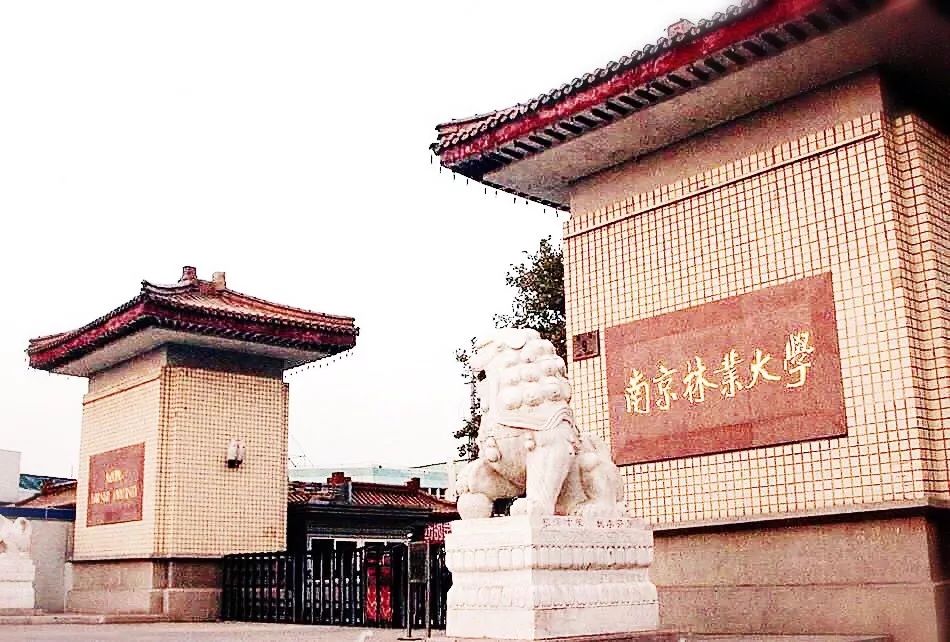 寻找发光的你 紫金奖·中国(南京)大学生设计展高校宣讲会本周开启,