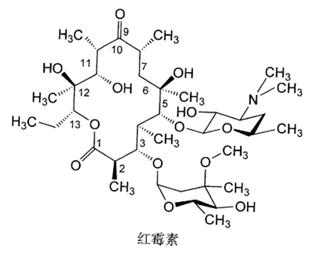 执业西药师每日一药——红霉素