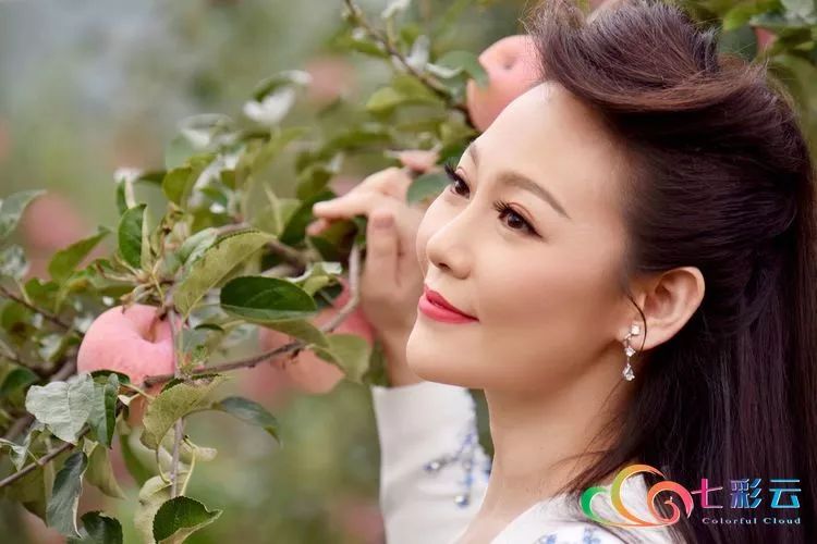 昭通苹果mtv《苹果花开在南方》拍摄完成!_刘桐