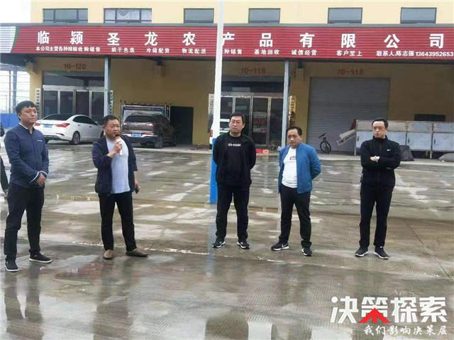 人大代表,领导班子成员及相关职能部门负责人到漯河市临颍县王岗镇