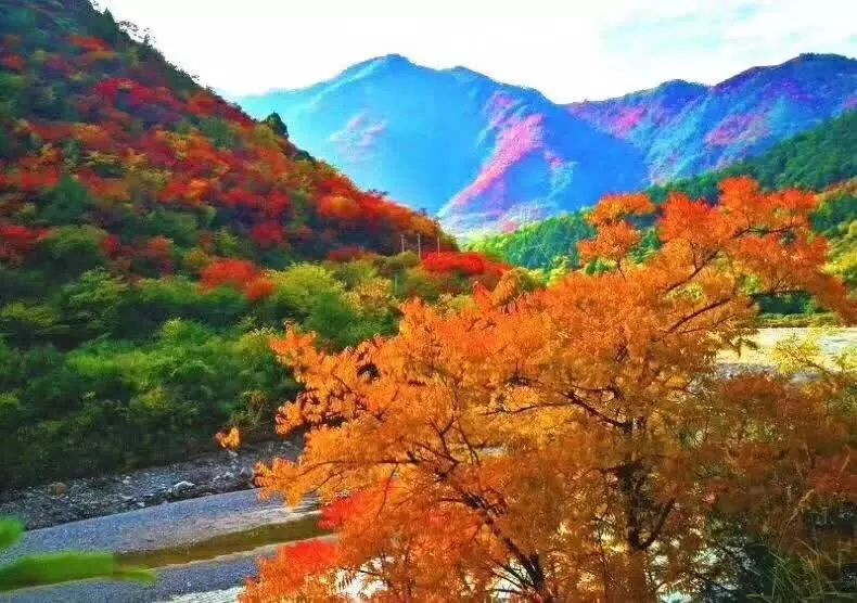 马场镇人口_织金马场镇中心村(2)