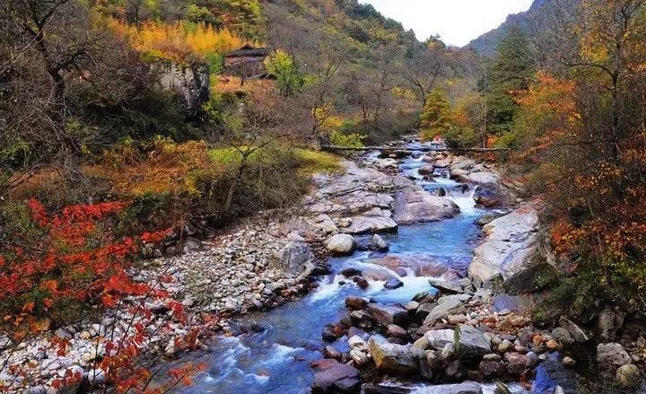 黄柏村人口_舒城黄柏村(3)