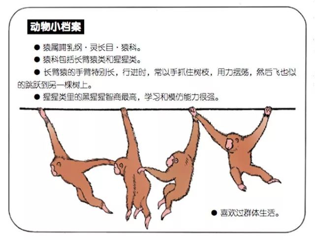 巧什么者成语_成语故事简笔画