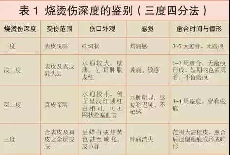 烧烫伤面积的计算(手掌法)——(含五指并拢的部位)约相当于其身体表