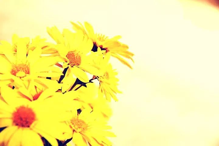 朋友不在多,有你就够了!