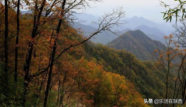 云雾山鬼谷岭位于安康石泉县城东北22公里的云雾山顶部,有五千余公顷