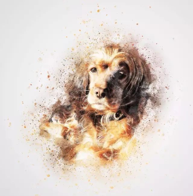 我走了,我来过,我很乖,谢谢你们