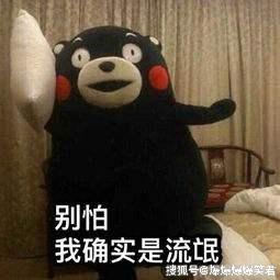 3ae3d57749a646138cb47fe8d5413114.jpeg