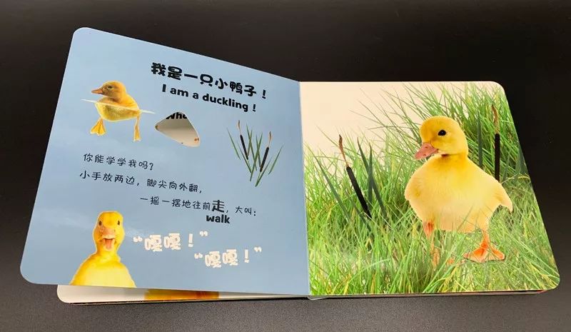 根据口述描述猜成语_看图猜成语(3)