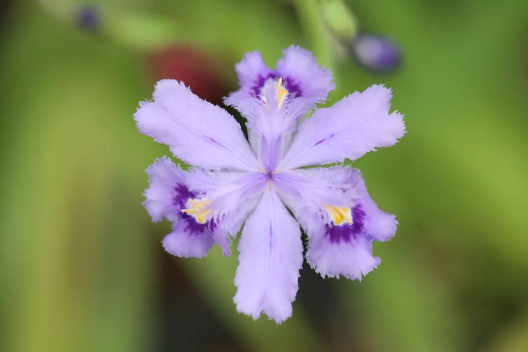 425cf49f0b1e4567b16087ea92c61ad3.jpeg