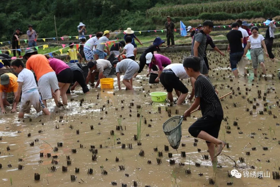 9月21日 峨山桃李谷摸鱼节为你准备了一个大惊喜 来了