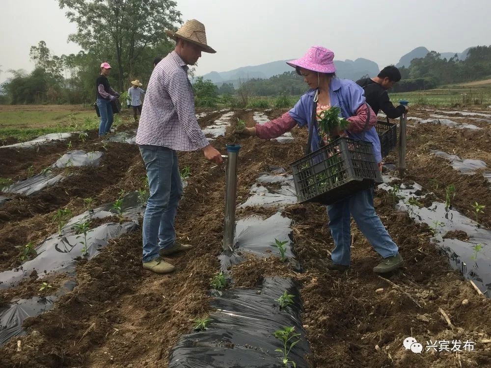 寺山镇人口_剑阁县元山镇常住人口