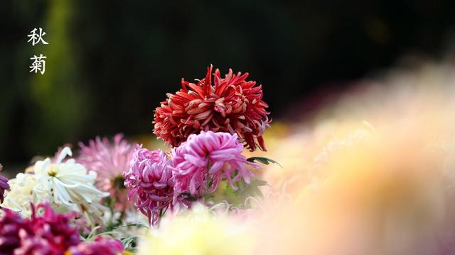 51865d96d4d14eb18daab761ef564d0e.jpeg