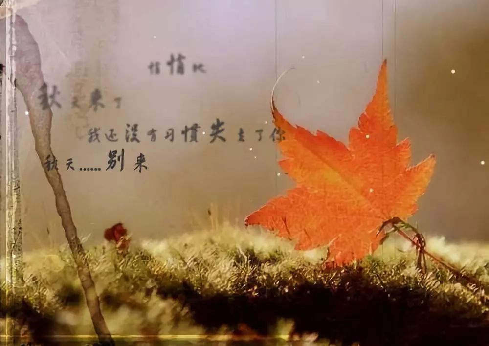 人生经历风雨洗礼 555775ff79714e08b9f6043a4ef84dca.jpeg