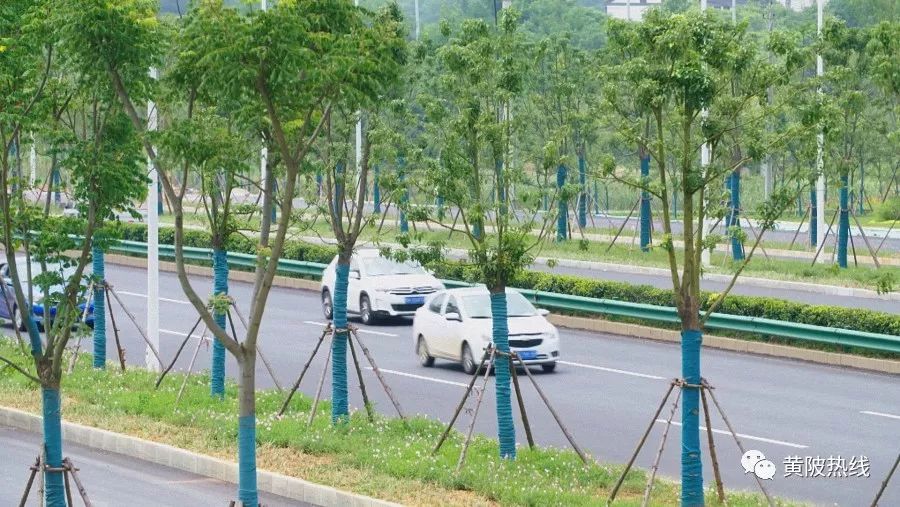 黄陂木兰大道全线通车 收尾工作本月底结束！