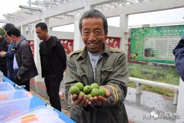 种植经营销售者种植经营销售者新鲜的本地湿核桃审核:张亚俊编辑:张