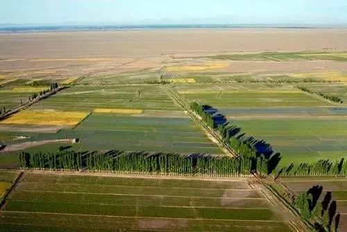 现在可以去新疆阿克苏吗 6824fdc4cdc54dc1aa034d6ed6f050e7.jpeg