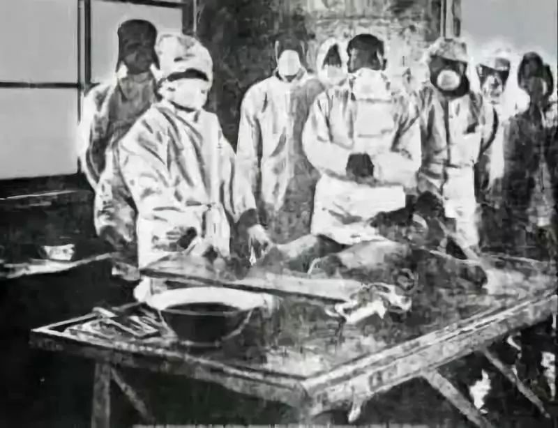 鼠疫实验,霍乱实验 对未出生胎儿进行活体解剖和病菌实验 人与马血