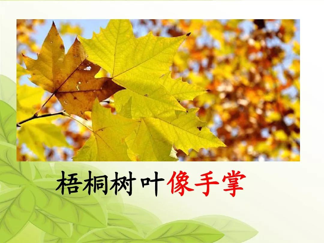 部编版二年级语文上册识字2《树之歌》图文讲解
