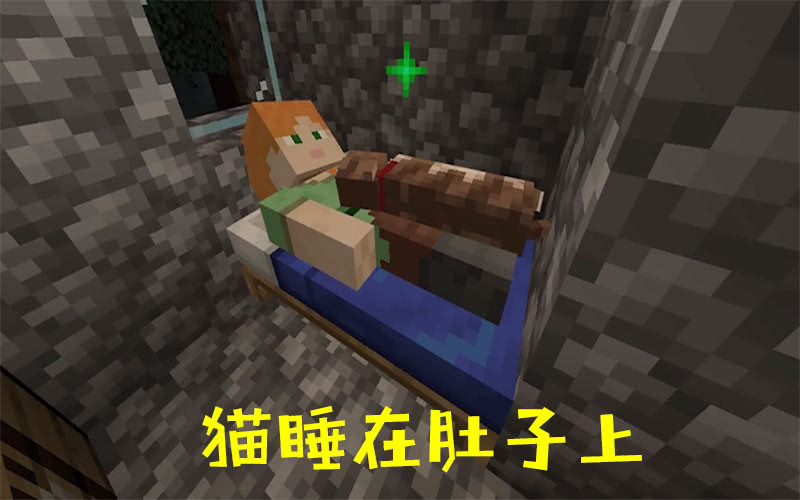 我的世界:猫与狗的4个方面对比,骨灰级玩家的答案近乎
