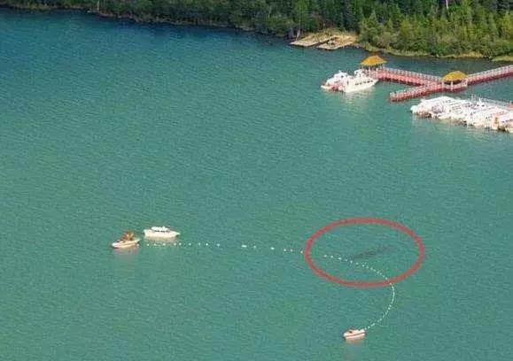 世界上著名的水怪 8719827b11c548f299cd4c1a5e30f4ec.jpeg