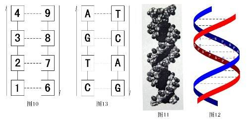 河图洛书道家修炼的最高法脉——羲黄老庄无为法图鉴